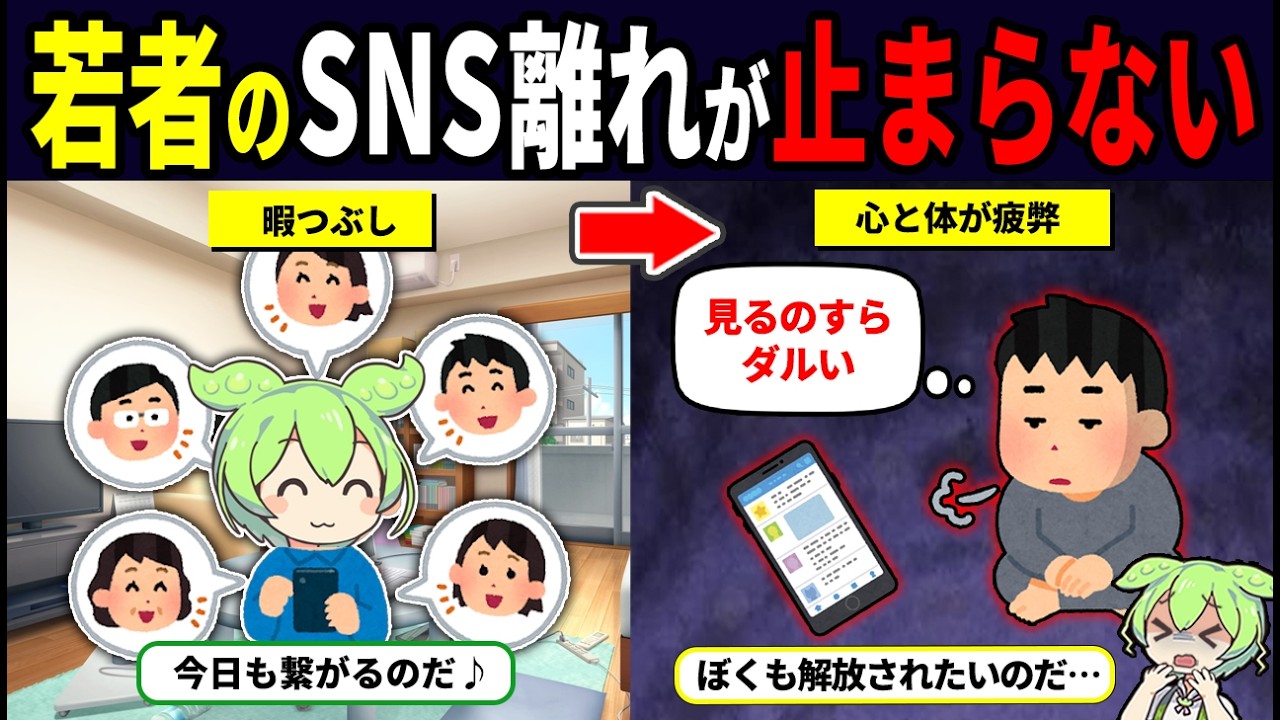 若者のSNS離れが止まらない&hellip;Z世代の半数が疲れてる【ずんだもん解説】