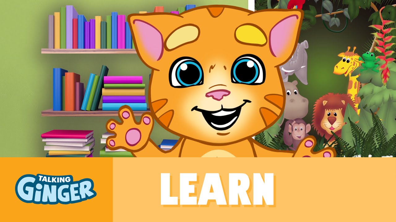 Talking Ginger’s Weird Animals