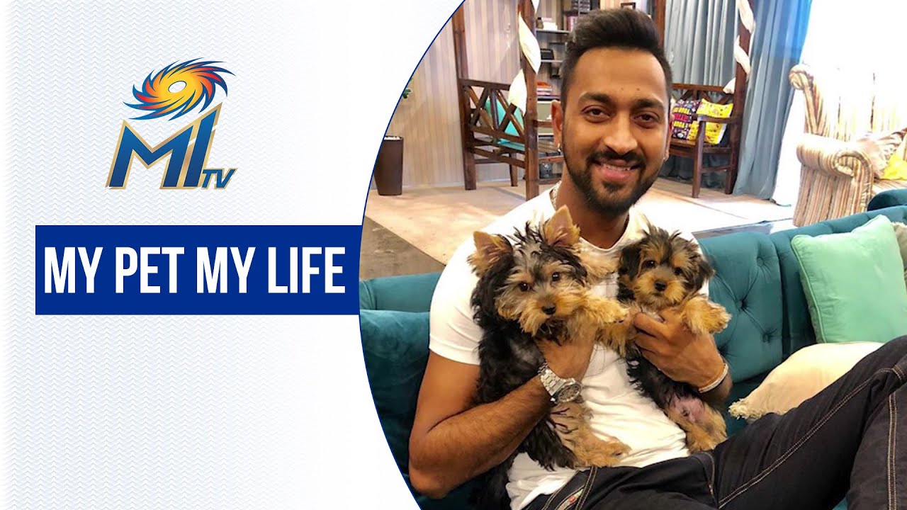 World Animal Day | विश्व पशु दिवस | Dream11 IPL 2020