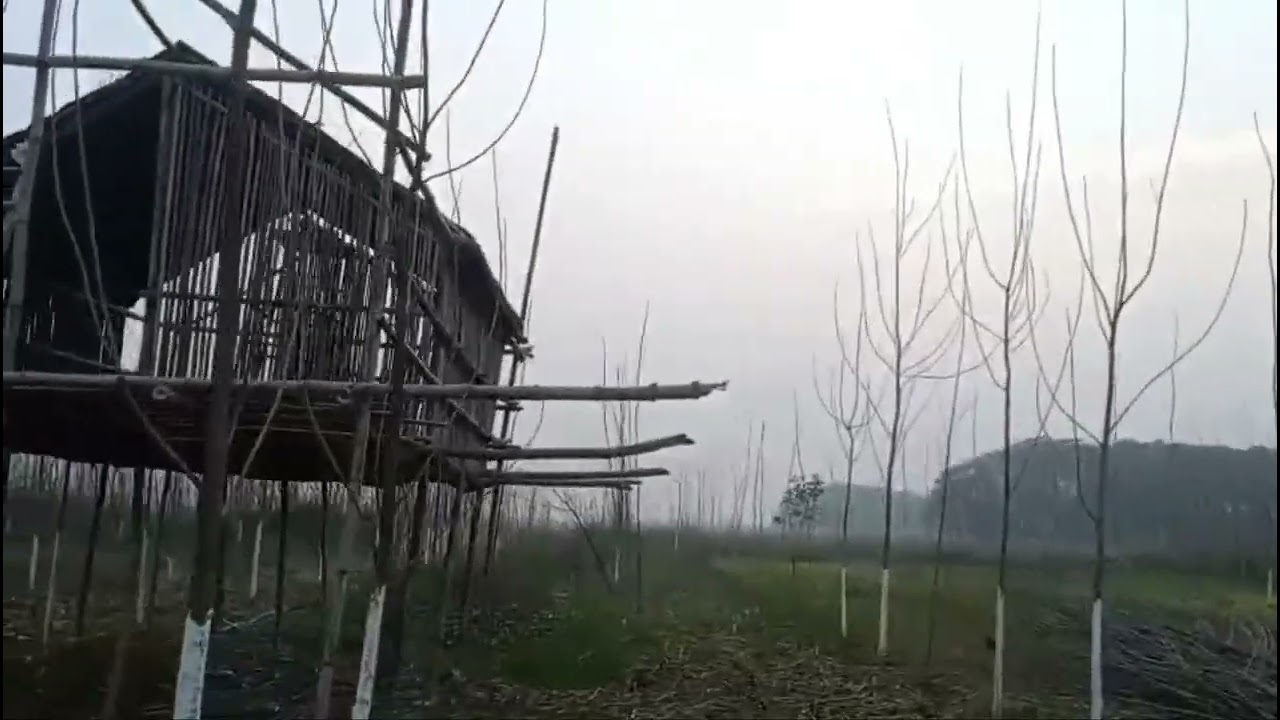 हट 🛖 का क्या नाम रखें 