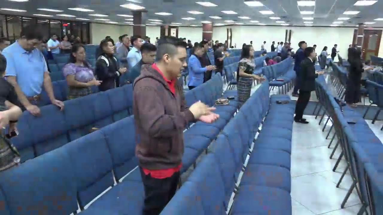 SERVICIO EN VIVO HOUSTON TX