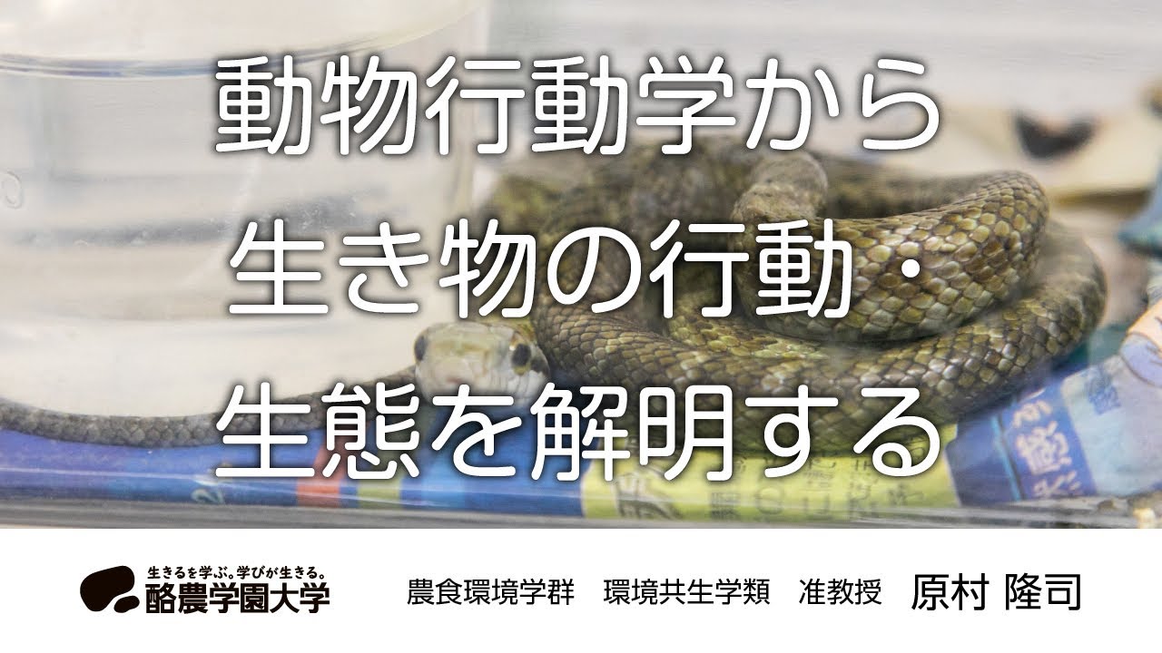 環境共生学類　原村　隆司　｜　酪農学園大学　研究室・ユニット紹介