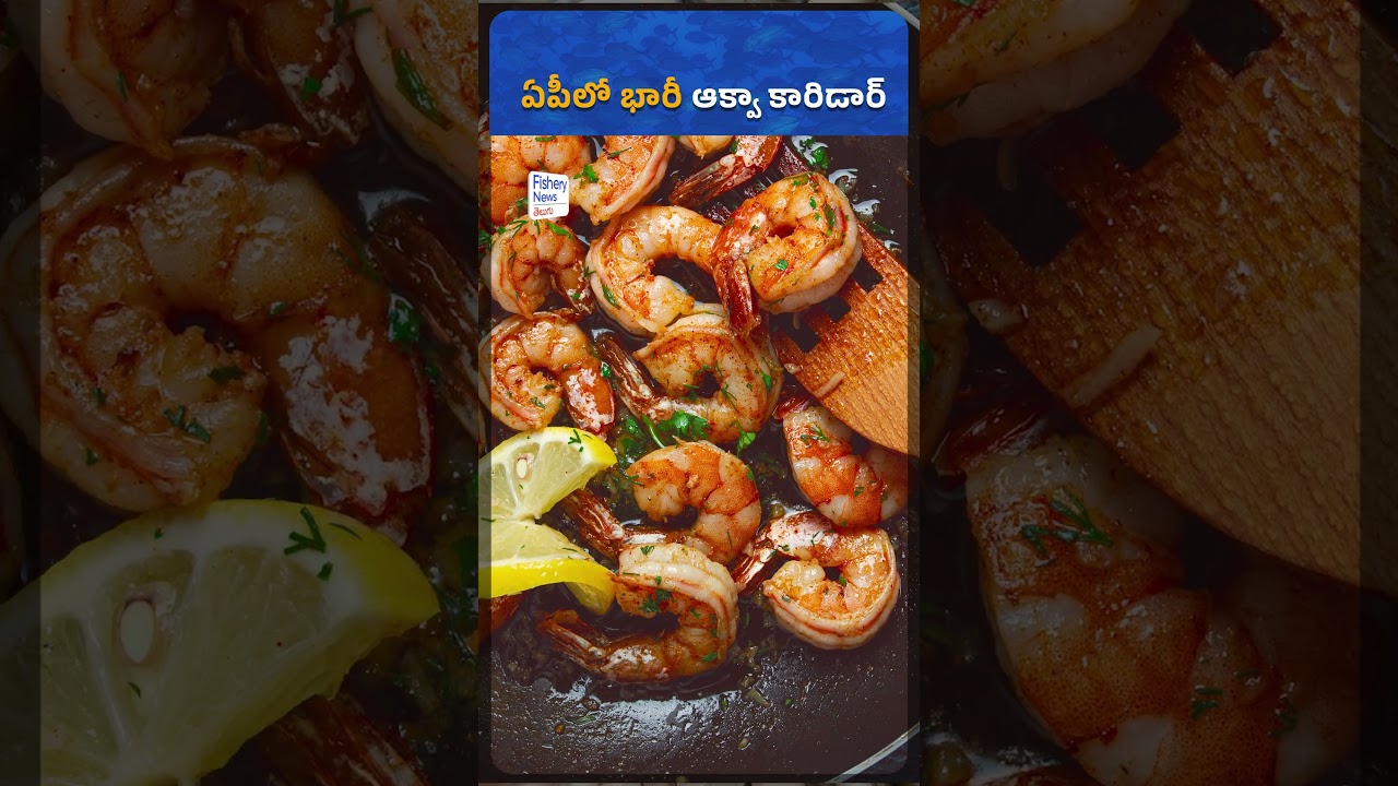 AP Aqua Corridor Announced! Chandrababu's Big Plan to Make Andhra Pradesh a Global Seafood Hub