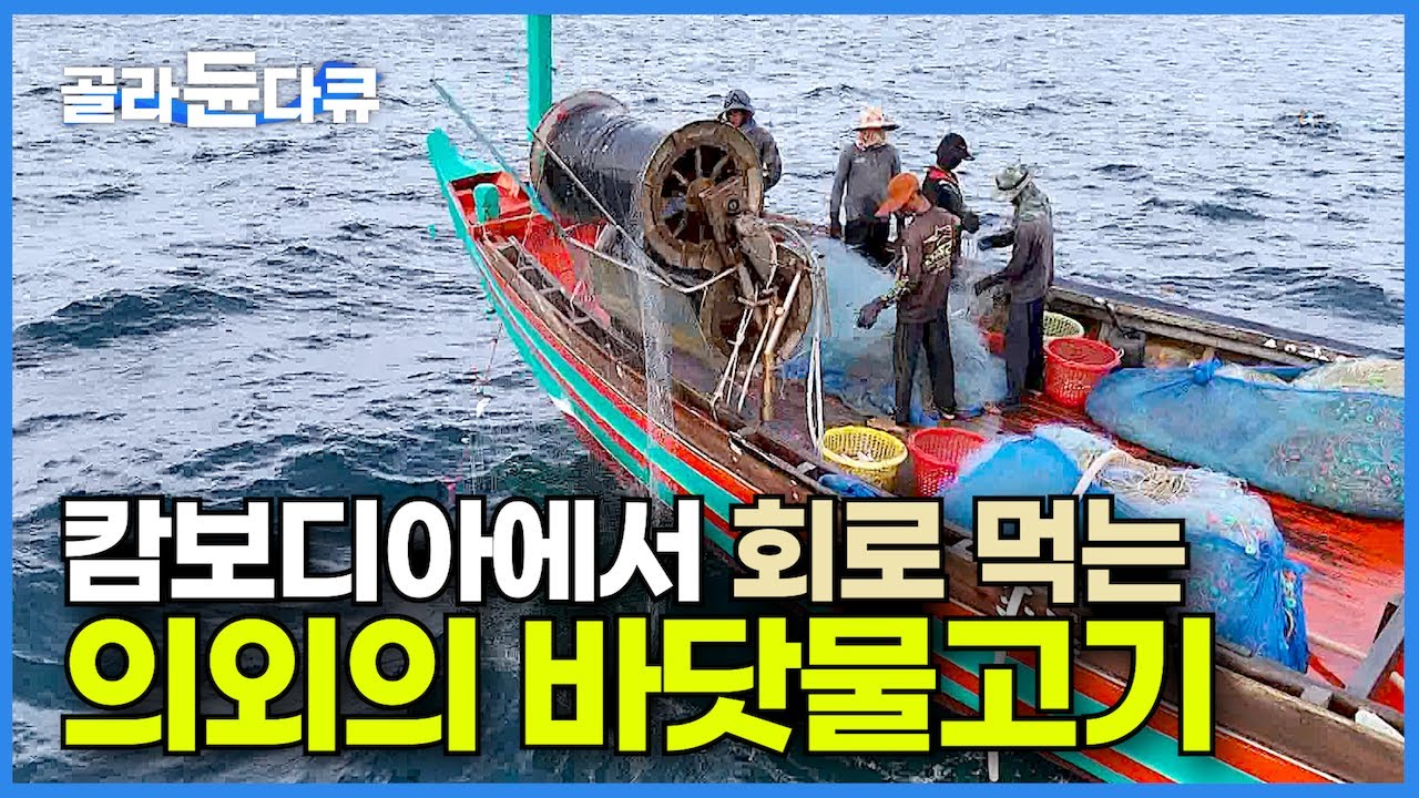 바닷물고기보다 민물고기를 더 많이 먹는 나라! 캄보디아는 잡자마자 죽어버리는 고등어를 어떻게 잡아 먹을까?┃캄보디아 고등어잡이┃프놈펜 남방 고등어┃인간과 바다┃#골라듄다큐