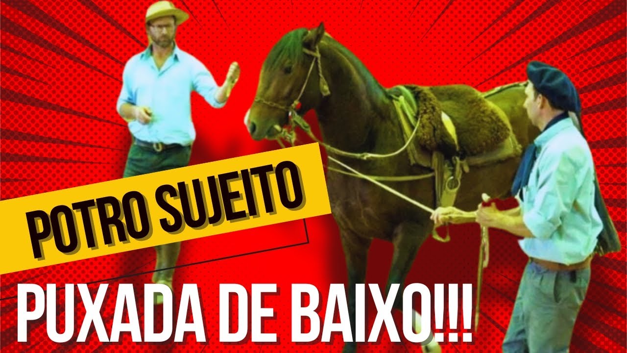 Como é a puxada de queixo na doma gaúcha?