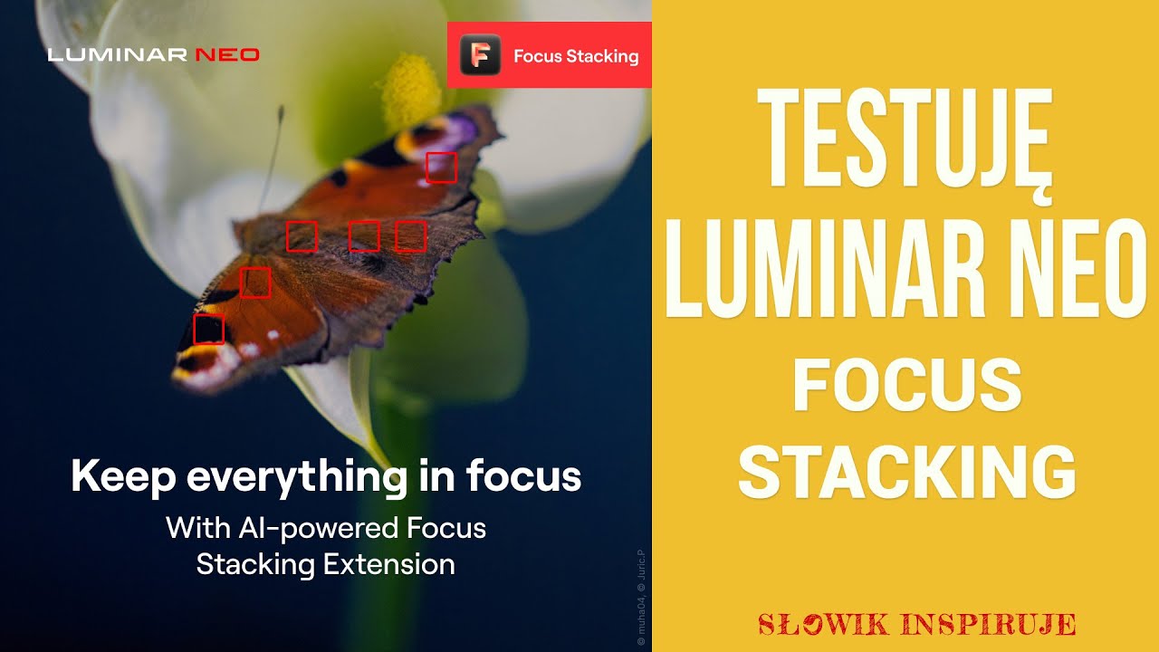 Skylum Luminar NEO. TESTUJĘ nowe rozszerzenie Focus Stacking. #BETAtest