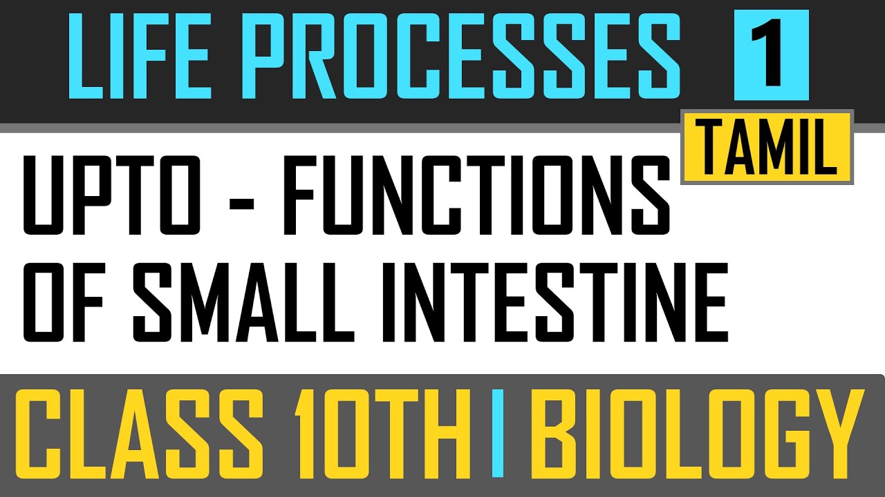 X || BIOLOGY || LIFE PROCESSES - 1 || FASTRACK COURSE || SHARON MAM