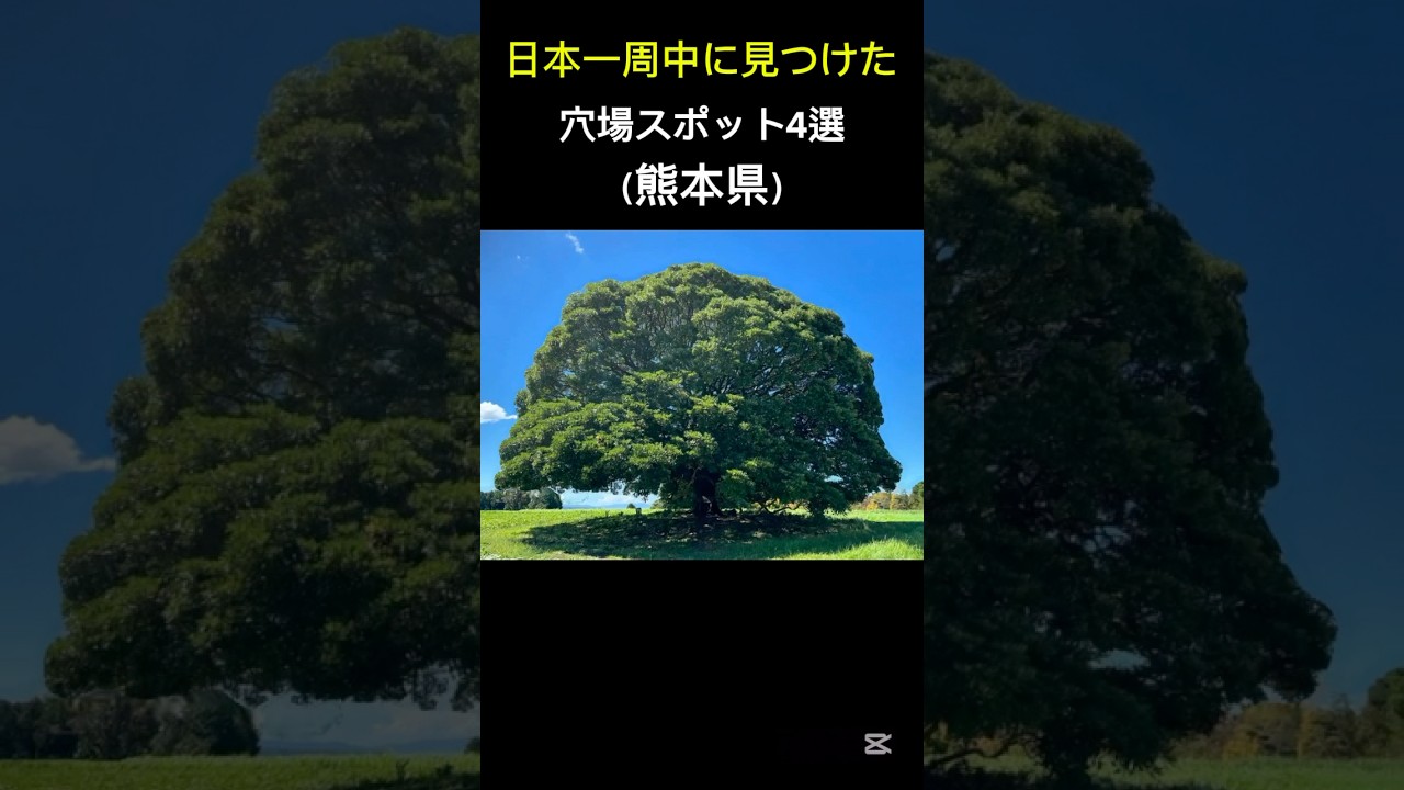 地元民も知らない熊本県の穴場スポット4選 #日本一周 #旅行 #絶景 #熊本