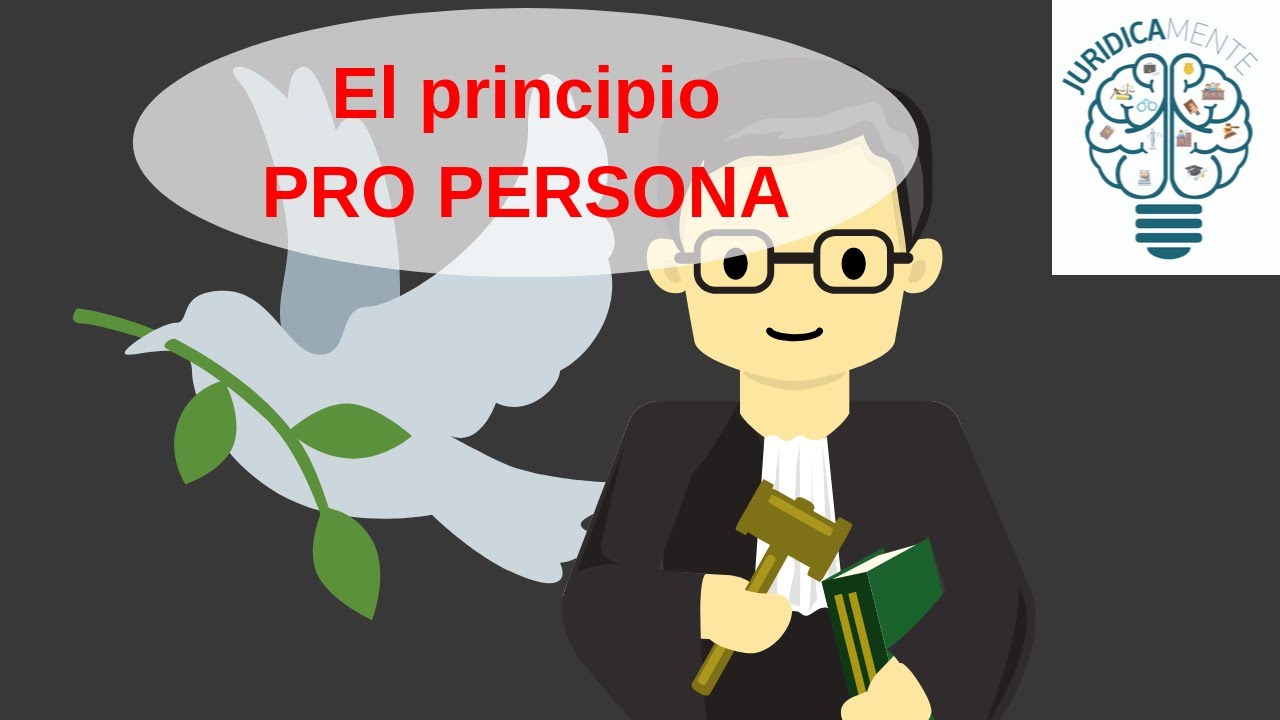 EL PRINCIPIO PRO PERSONA