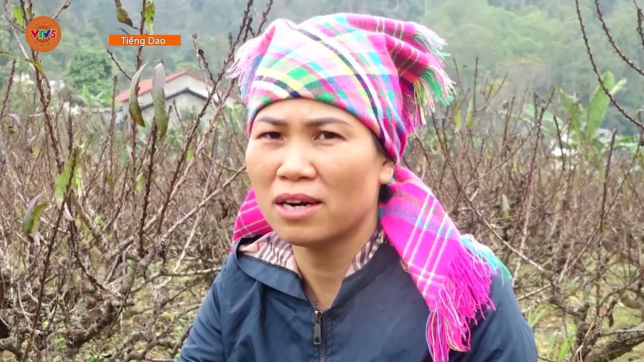 [TIẾNG DAO] LAN TỎA LÀM KINH TẾ GIỎI | VTV5