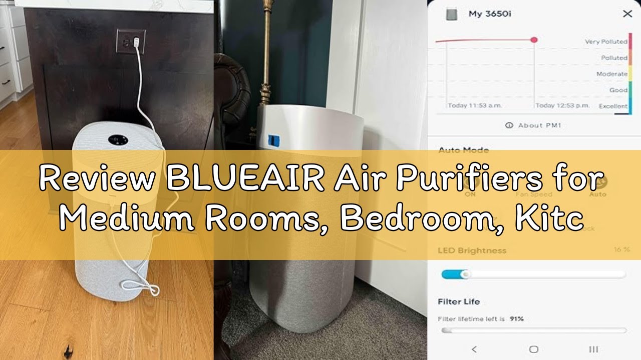 Review BLUEAIR Air Purifiers for Medium Rooms, Bedroom, Kitchen, Cleans 1,858 sqft in one hour, HEPA