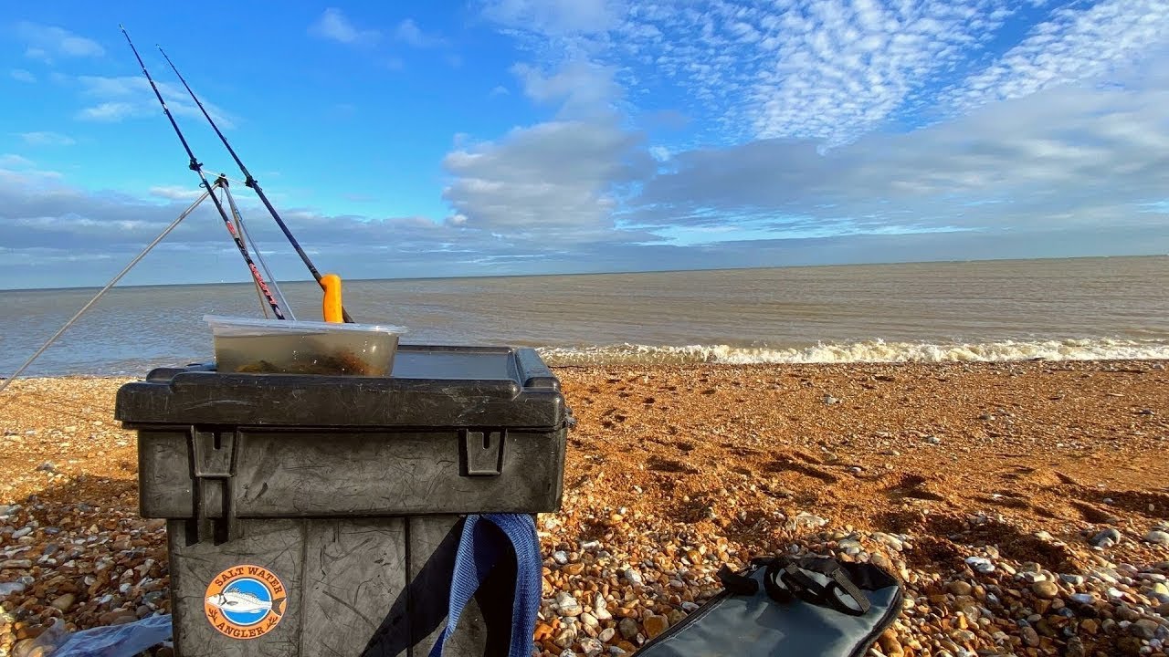 Sea Fishing Dungeness- Green dabs, Magic tip baits and a few pests!