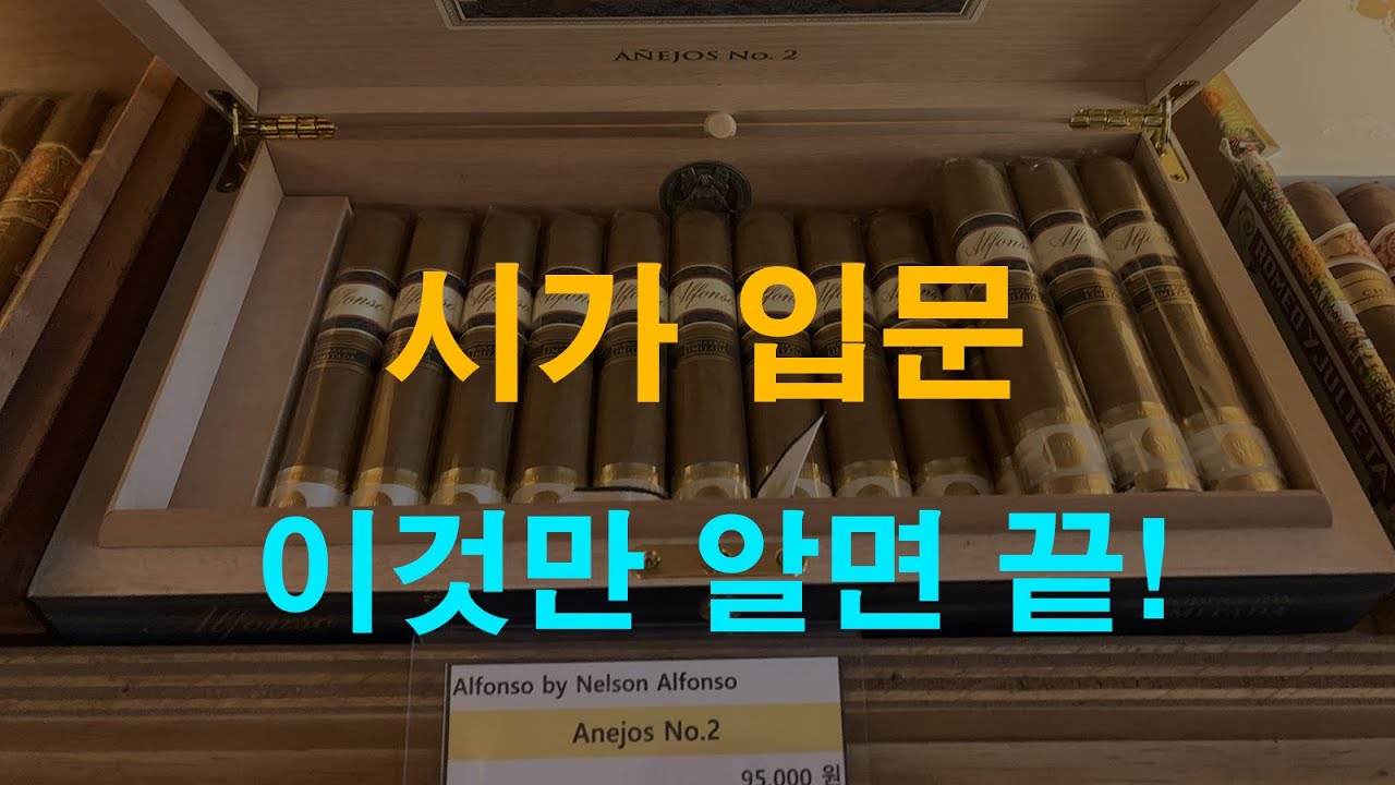시가 담배 피는법: 시가 파는곳, 시가 추천, 가격, 구매처