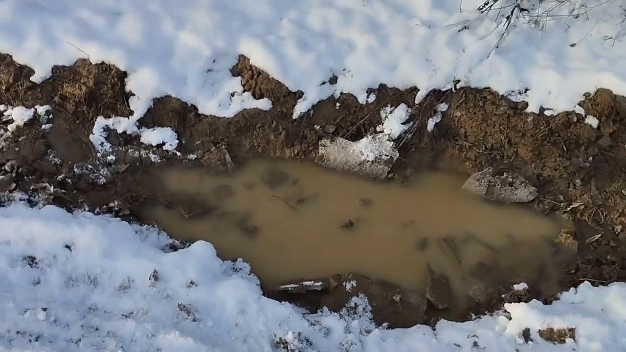 Оце заїхали в болото . Поїздка по дрова . Мото трактор ЗУБР 8
