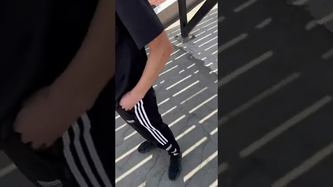 Senator balabolmi yoki Rocce bobo Rocce bobo isbotlab berdi