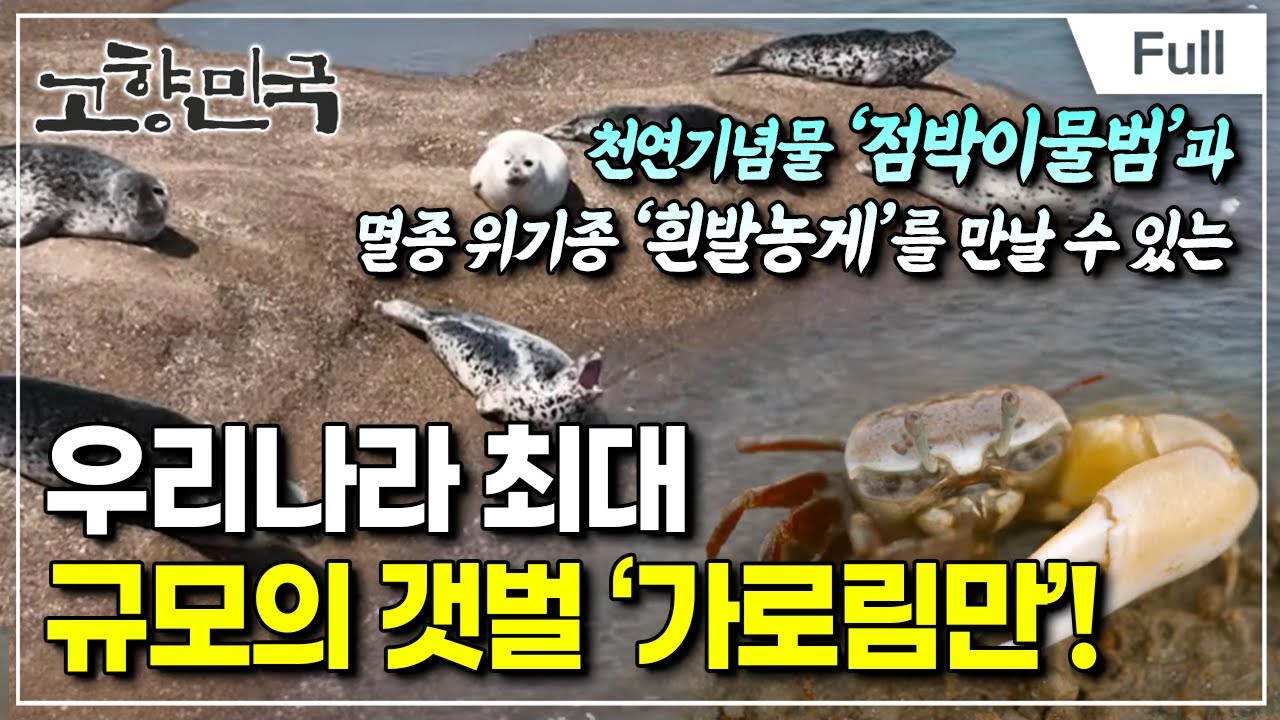 [Full] 고향민국 - 서산, 가로림만 사람들