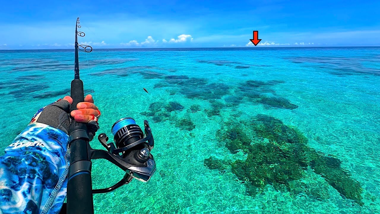Fishing Australia's *FAMOUS* Great Barrier Reef for our Dinner! [Catch, Clean, Cook]