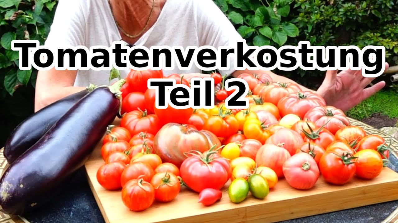 Tomatenverkostung 2025 Teil 2 | Wie schmecken meine Tomaten?