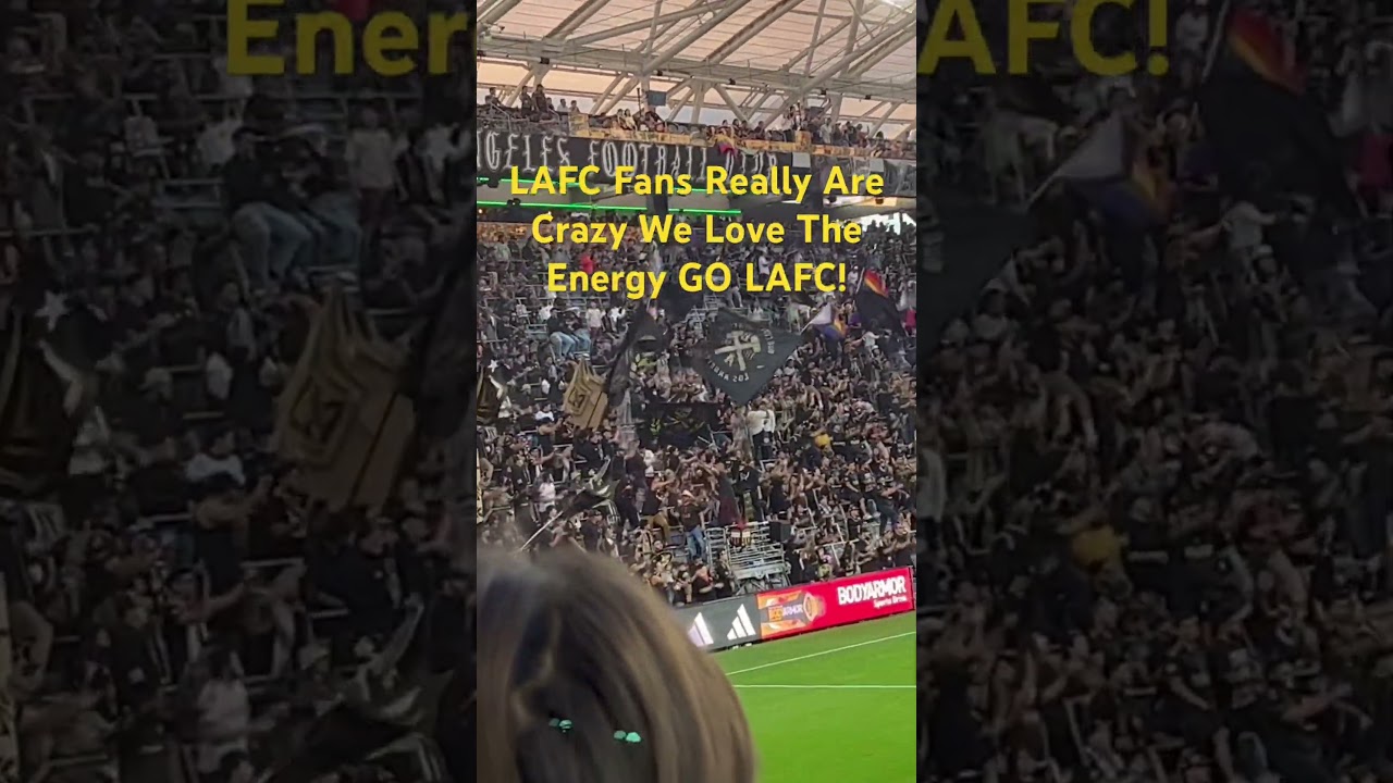 Crazy LAFC Game Fan Chants#lafc #fans