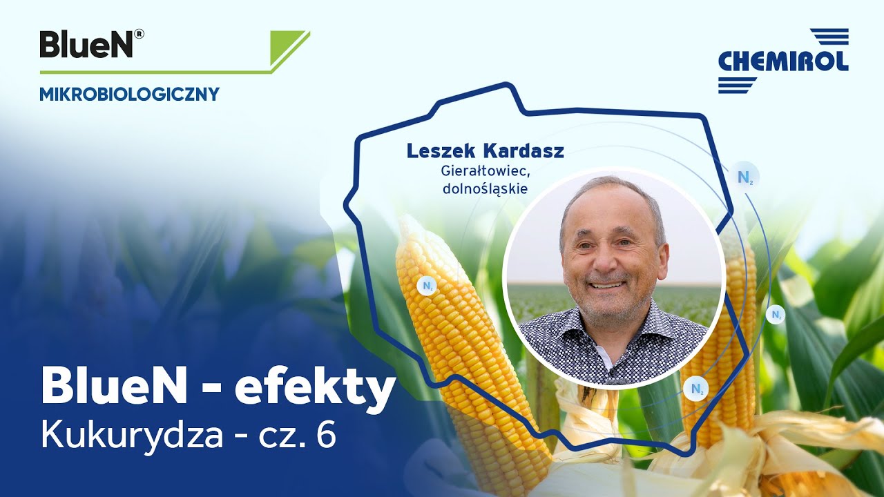 BlueN® efekty stosowania oczami rolników w uprawie kukurydzy – cz. 6