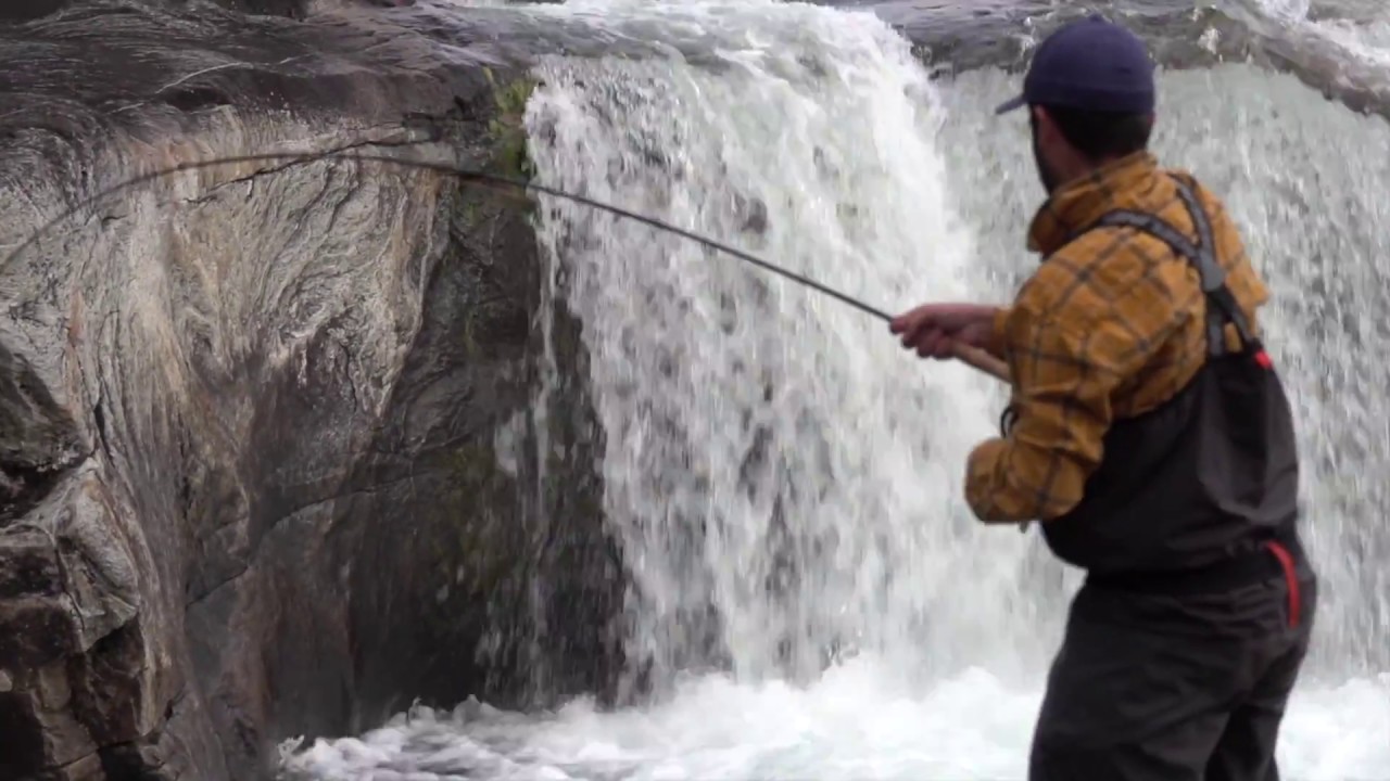 Fresh Atlantic Salmon from Horstad falls - Åelva, Horstad Gård 2018 - Salmonfishing Norway