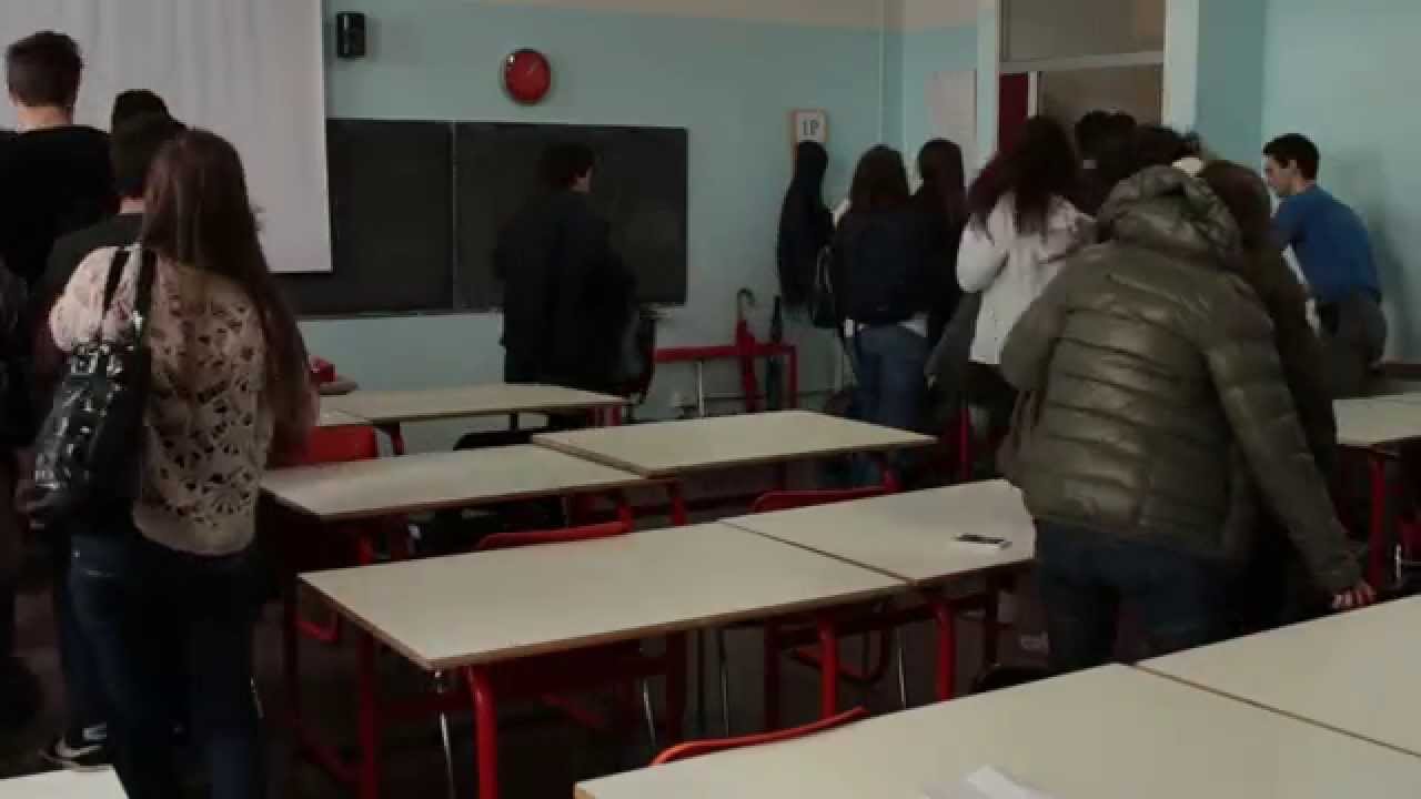 Che Lussaniano sei? |Cogestione 2015 Liceo Lussana
