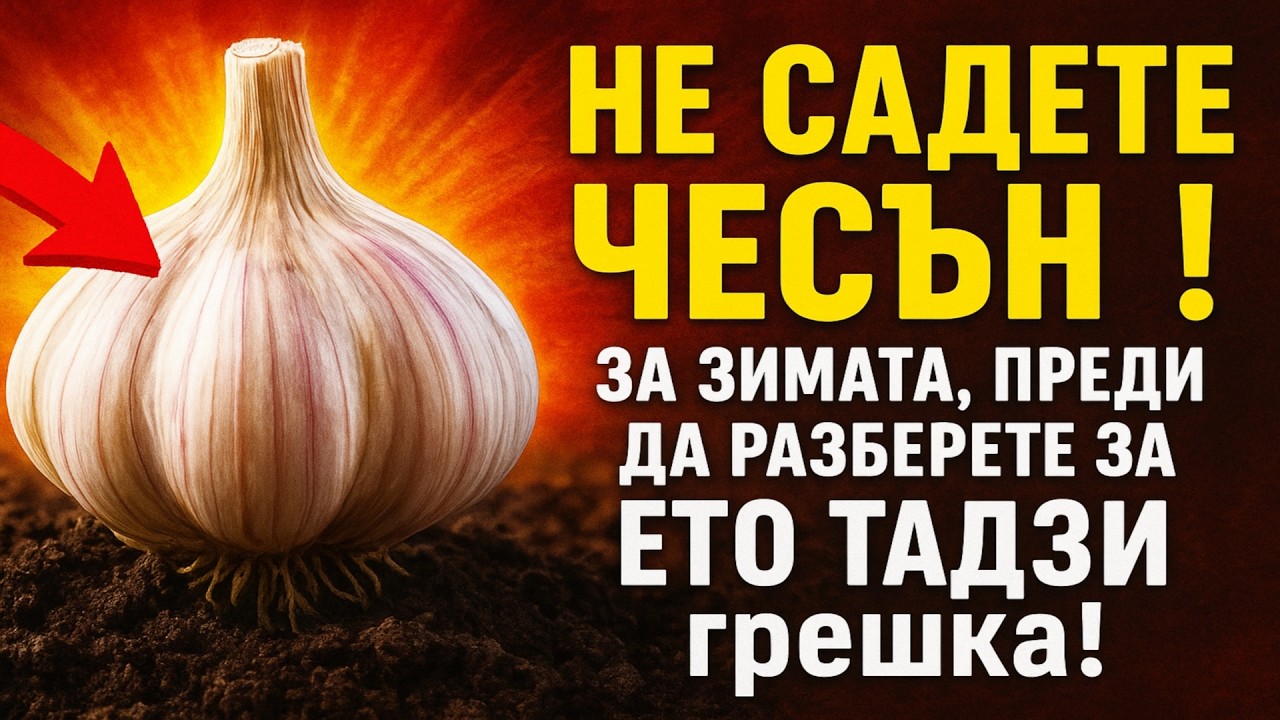 НЕ САДЕТЕ ЧЕСЪН за зимата, преди да разберете за ЕТО ТАЗИ грешка! ❌ 90% от реколтата ви е застрашен