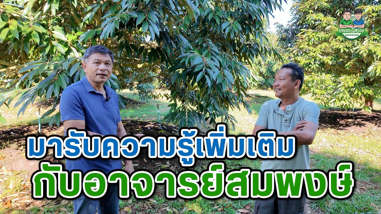 มารับความรู้เพิ่มเติมกับอาจารย์สมพงษ์
