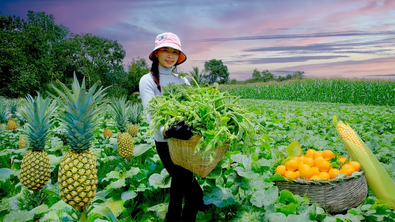 Harvest, Sell, Cook: Pumpkin Shoots, Sweet Oranges, Pineapple, Corn – Grow Vegetables, Raise Animals
