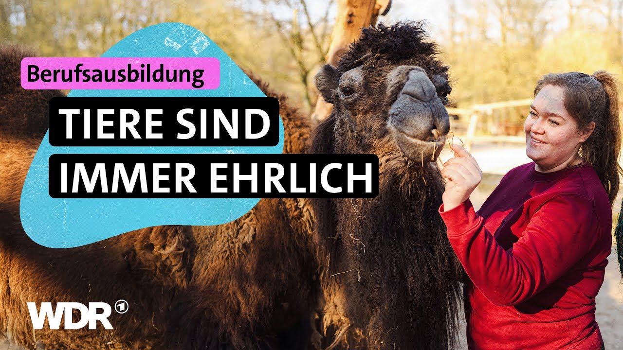&bdquo;Wenn Kamele Mais sehen, dann sehen sie rot