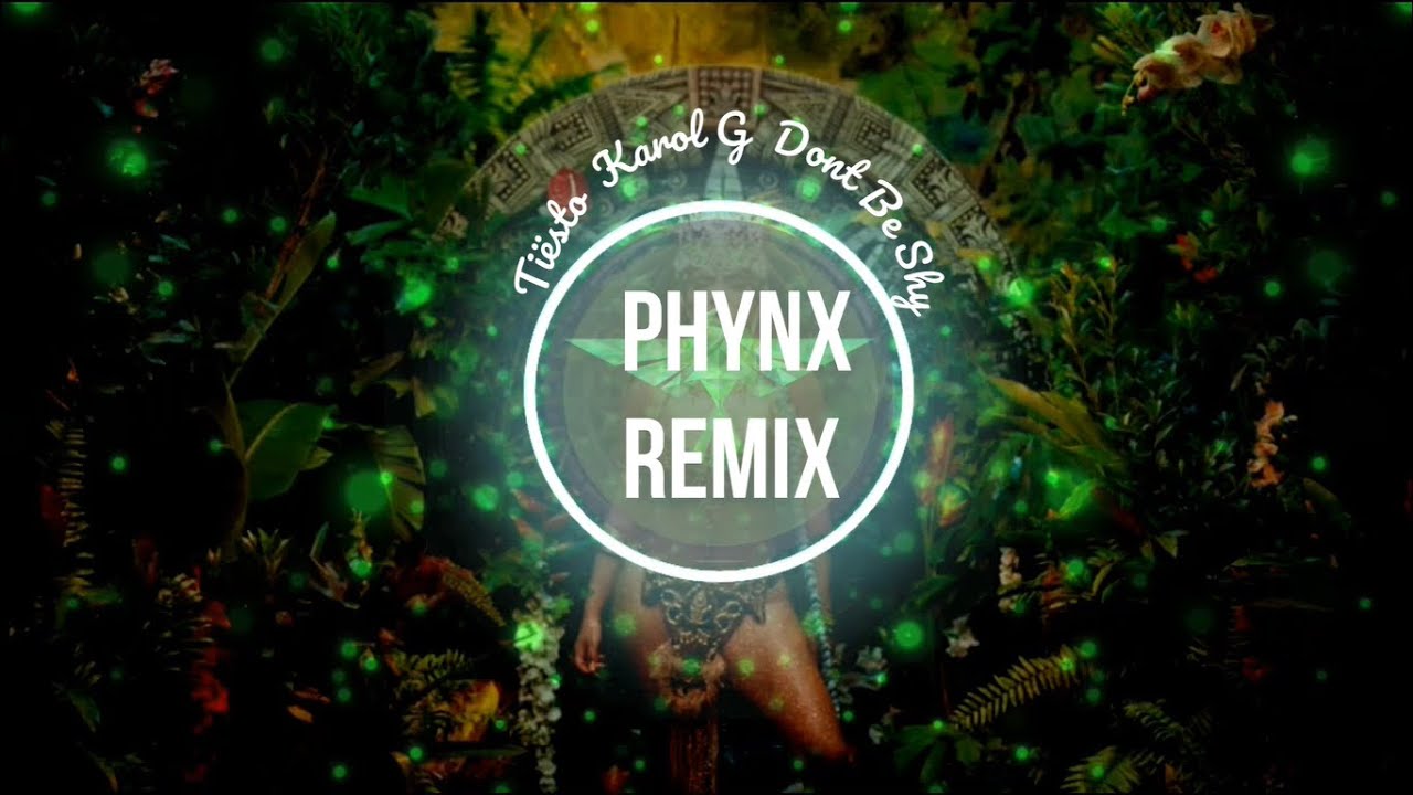Tiësto & Karol G - Don't Be Shy ( PHYNX Remix )