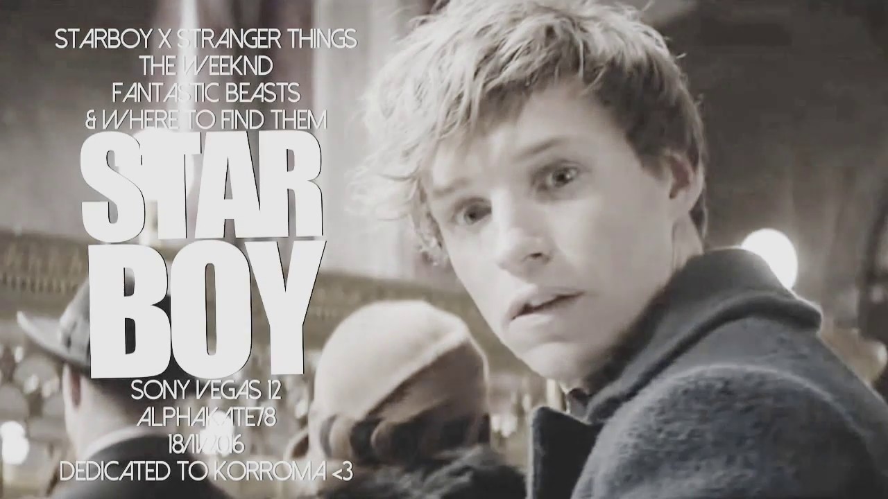 Newt Scamander | Starboy