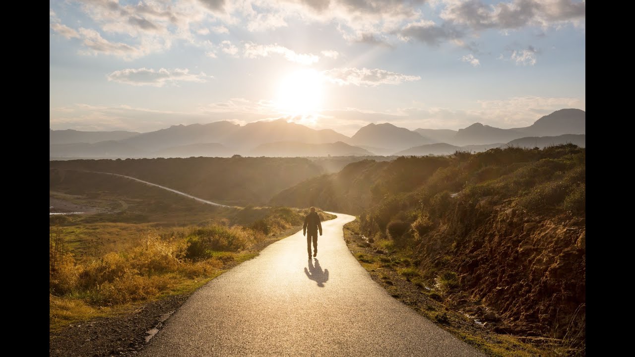 Road to Resilience: A Sneak Peek