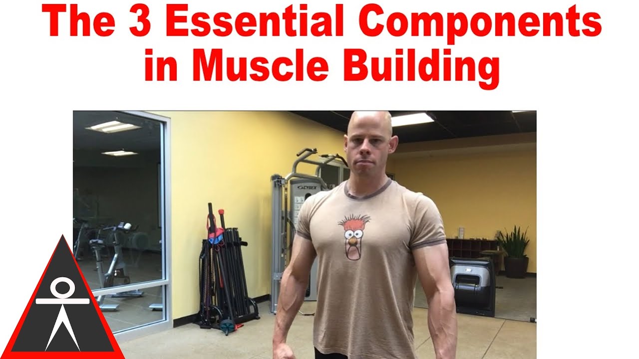 Muscle Tension Basics