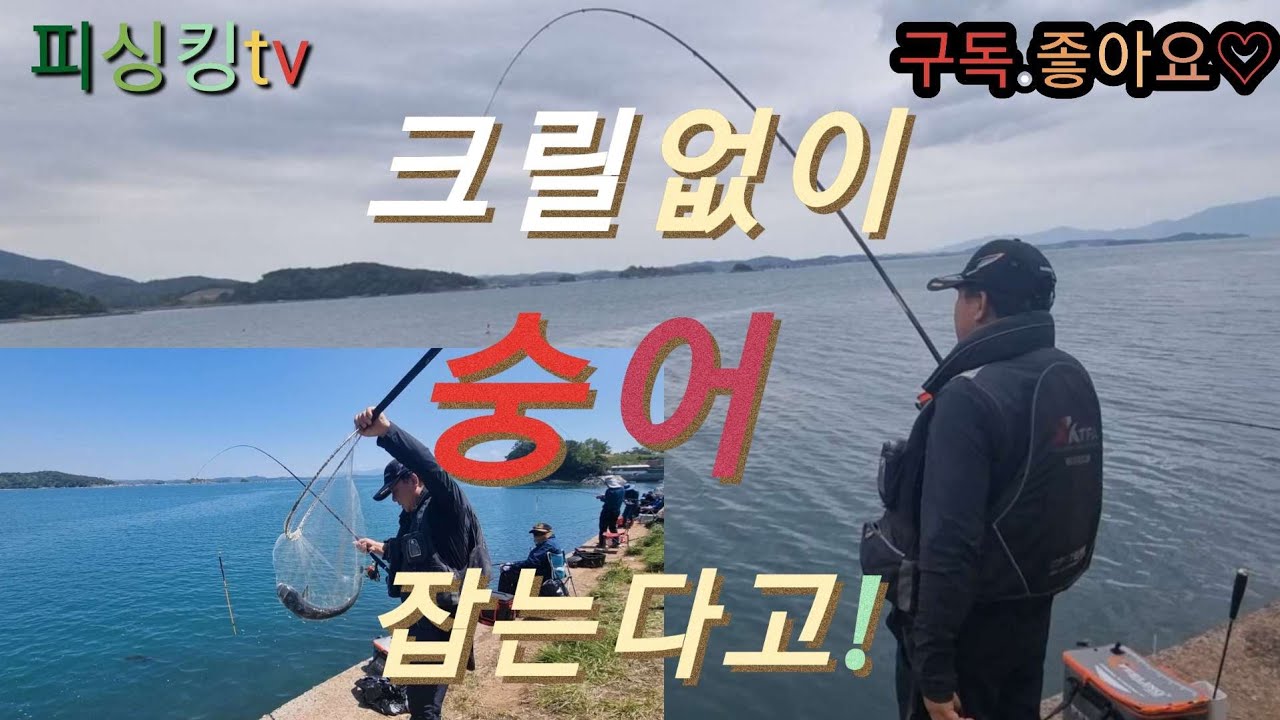 숭어 손맛에 팔이 아파요..
