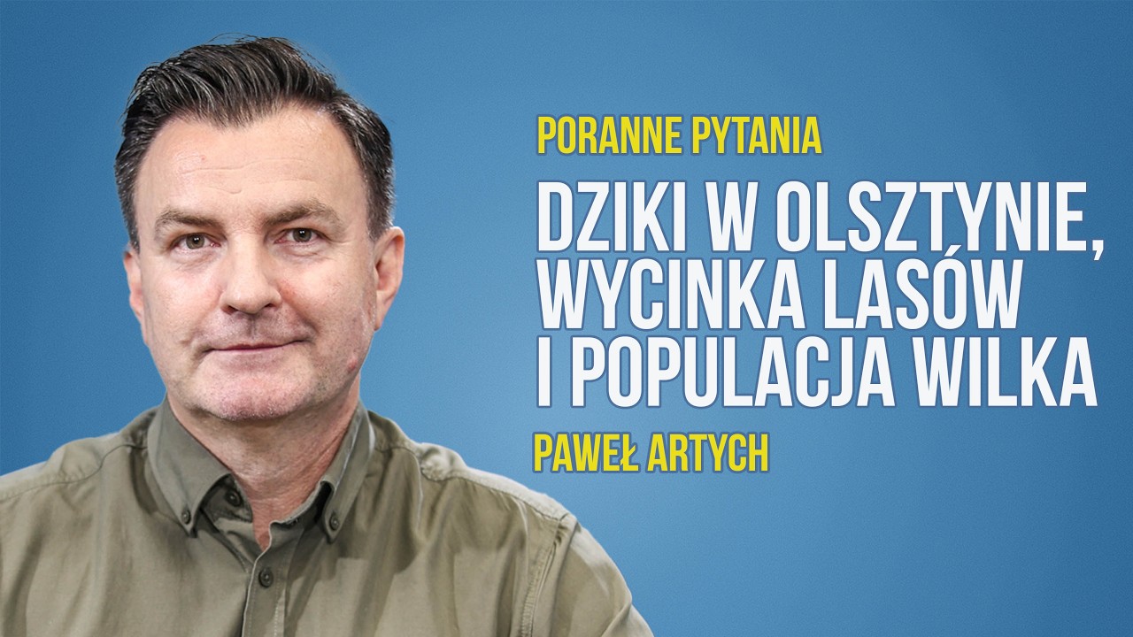 Dziki w Olsztynie, wycinka las&oacute;w i populacja wilka | Paweł Artych | Radio Olsztyn