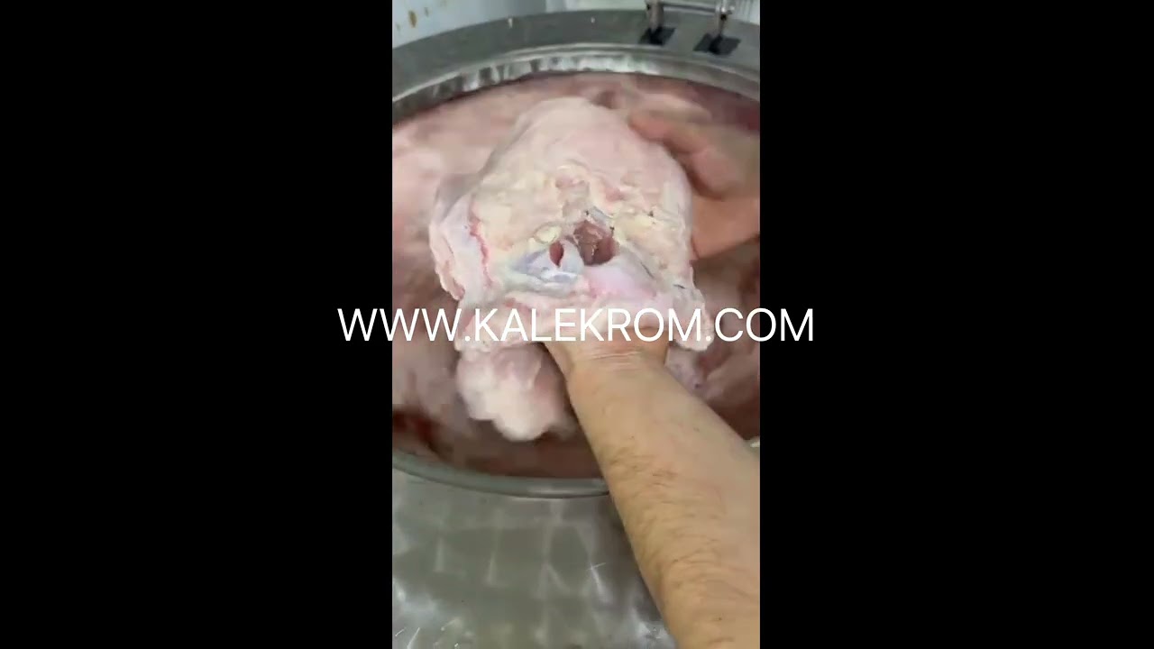 Kelle eti  yanak eti kıl temizleme makinesi
