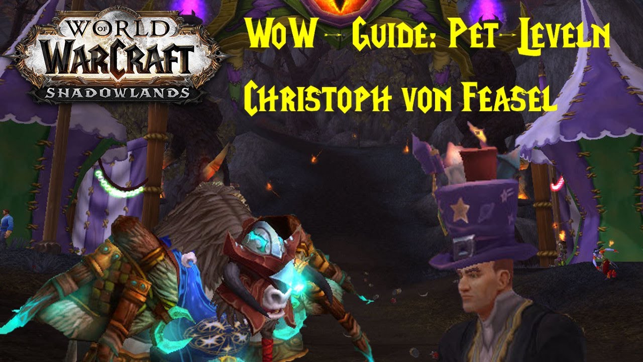 WoW-Guide: Pet-Leveln mit Christoph von Feasel