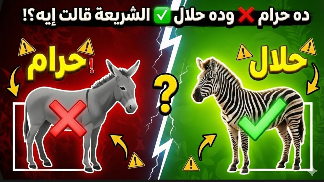 حمار حلال وحمار حرام !الشرع فرق بين حمارين 🙄