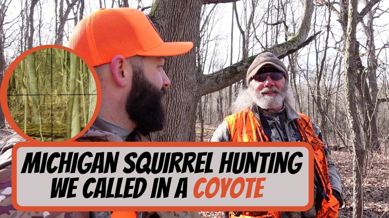 Michigan Squirrel Hunting - WE CALLED IN A COYOTE