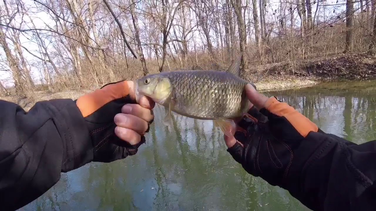 Pescuit la clean cu jiguri usoare, gume mici si echipament ultralight