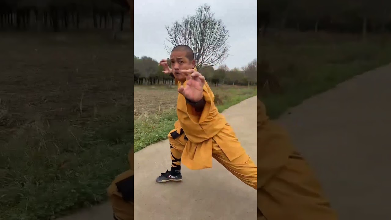 BASICOS Y FORMAS KUNG FU