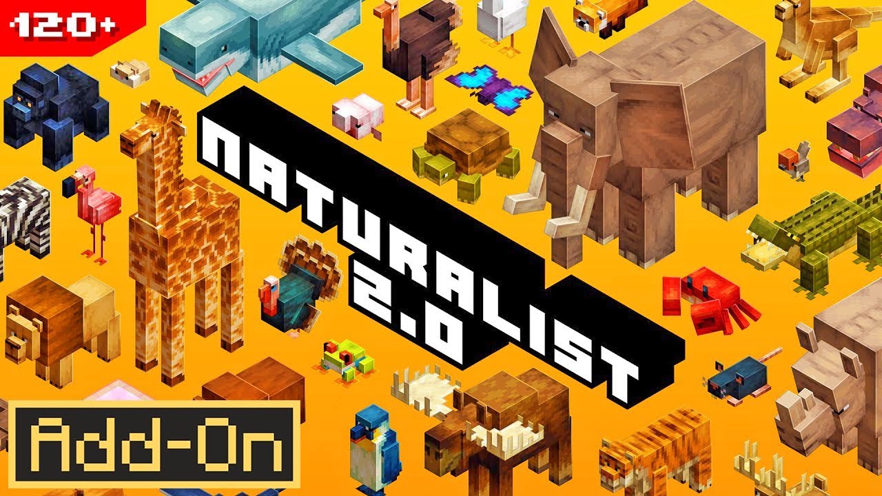 NATURALIST 2.0 ADDON brings 120+ Animals to Minecraft Survival [Full Showcase]