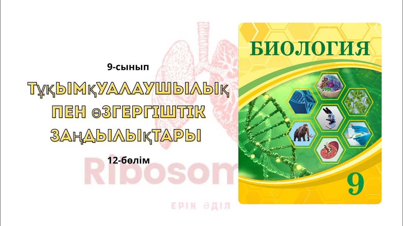 9-сынып Тұқымқуалаушылық пен өзгергіштік заңдылықтары | 12-бөлім | Ribosome.kz | Ерік Әділ