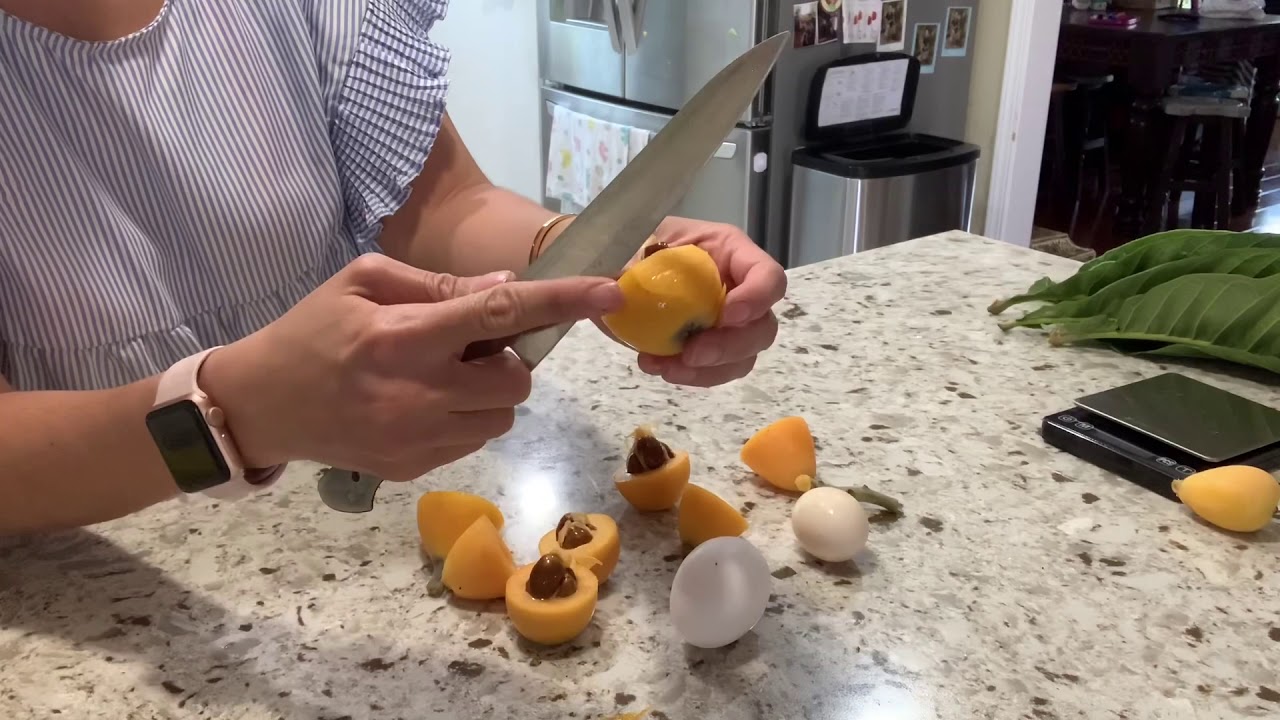 Loquat: BIG JIM loquat tasting.
