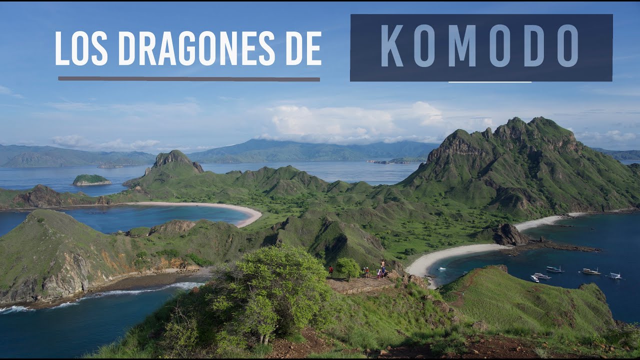 Cómo visitar los dragones en el Parque Nacional de Komodo 🦖🌏🦎(English subtitles)