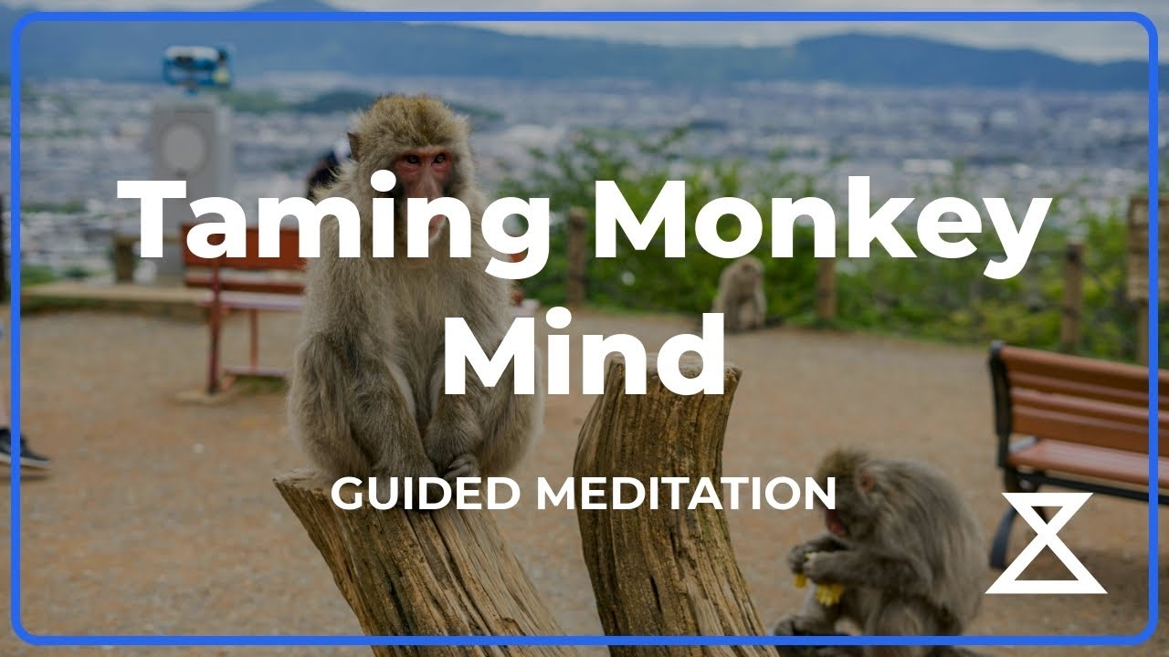 Monkey Mind Meditation: 15 Min Guided Practice for Racing Thoughts (Male Voice, No Music)