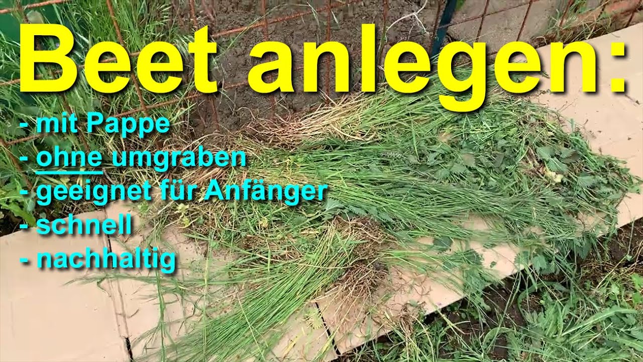 Beet anlegen mit Pappe, ohne Umgraben, f&uuml;r Anf&auml;nger schnell und nachhaltig - Selbstversorgergarten