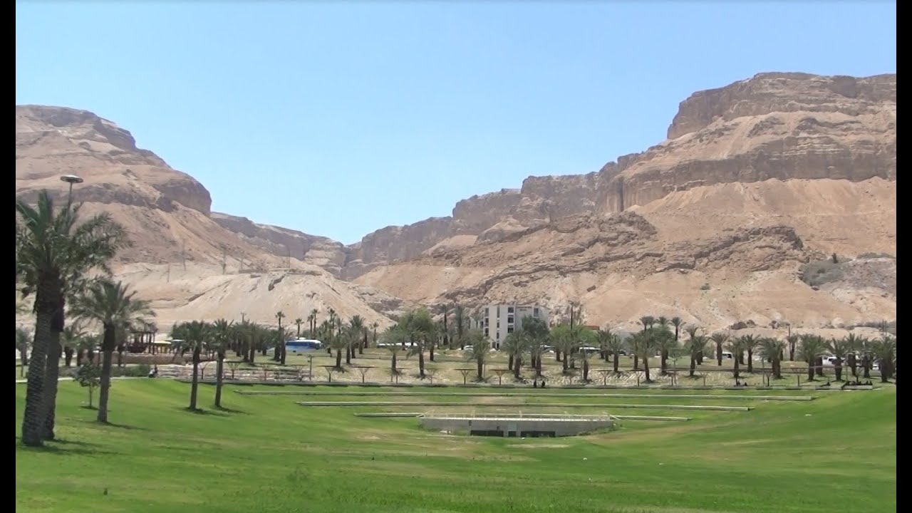 ים המלח, ישראל, עין בוקק