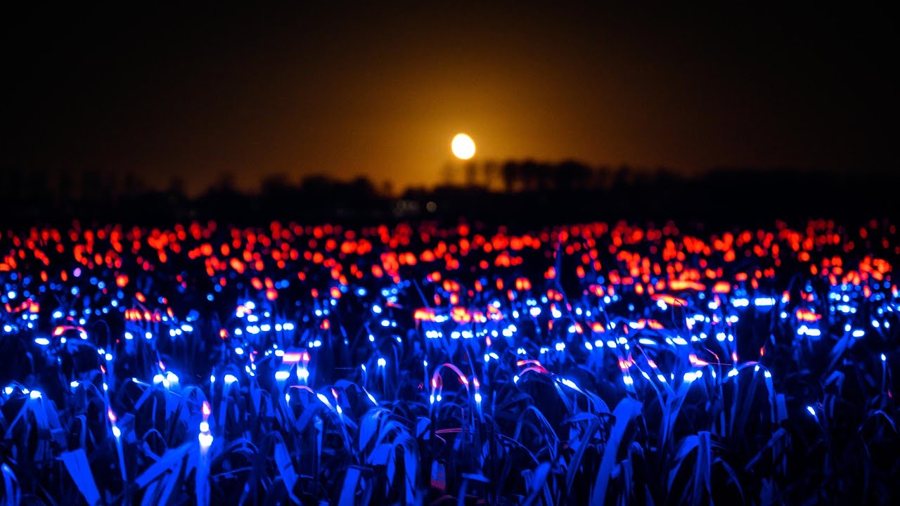 Daan Roosegaarde uses 